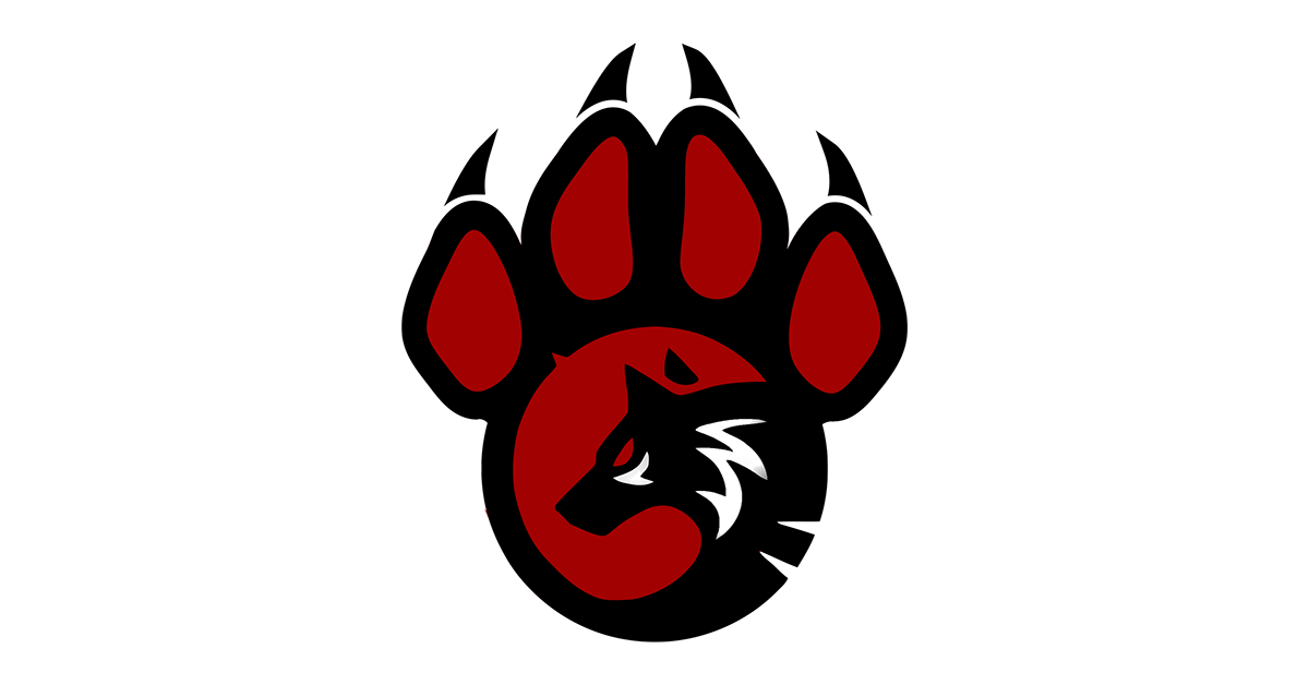 Logo for Wilmington Wolfpack