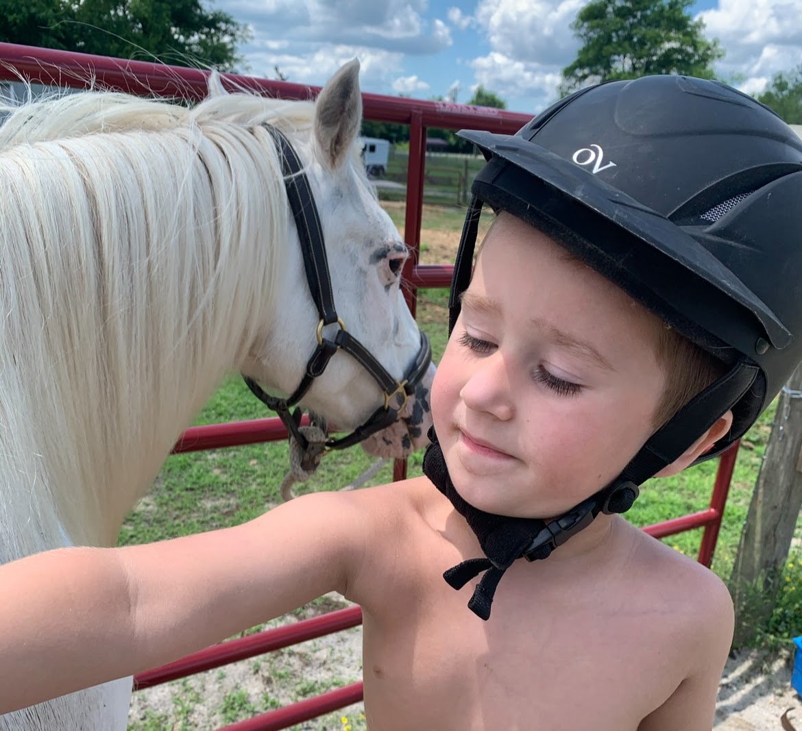 Logo for Tri-State Equine Adoption and Rescue