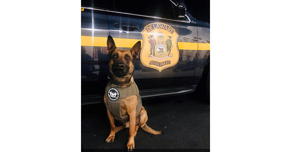 Logo for 302 Phalanx Foundation