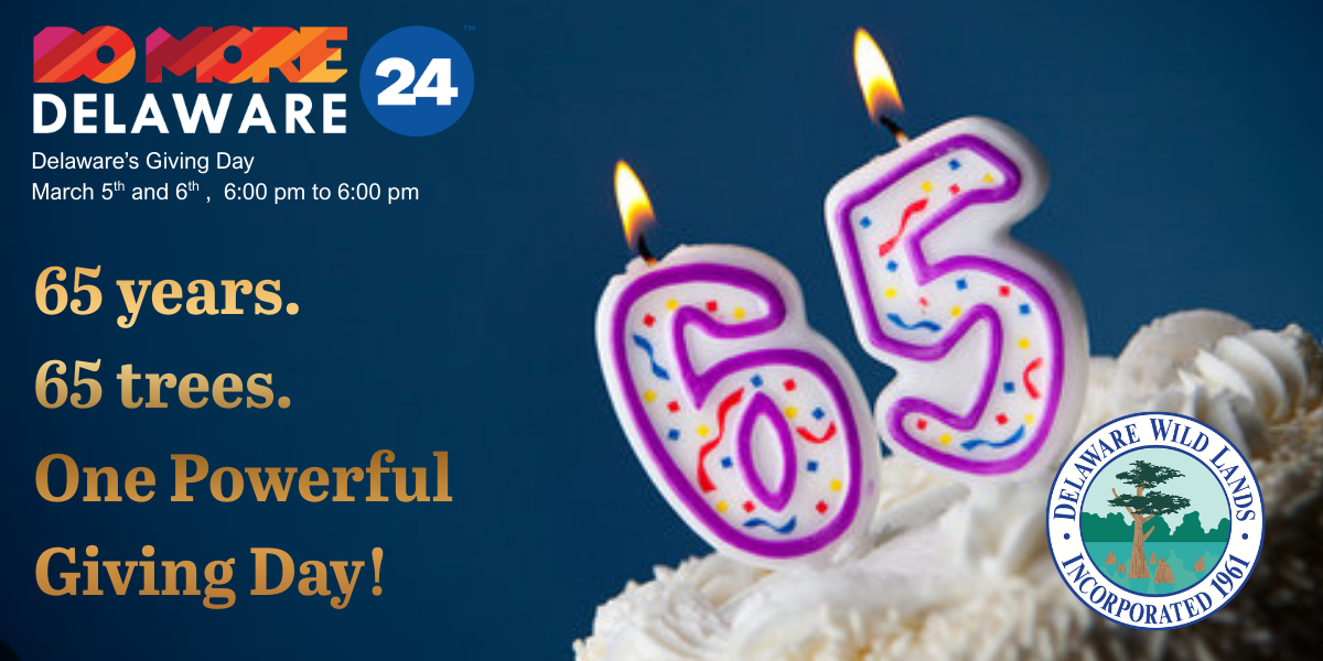 Logo for Delaware Wild Lands, Inc.