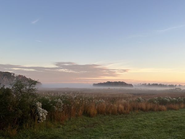 Logo for Delaware Wild Lands, Inc.