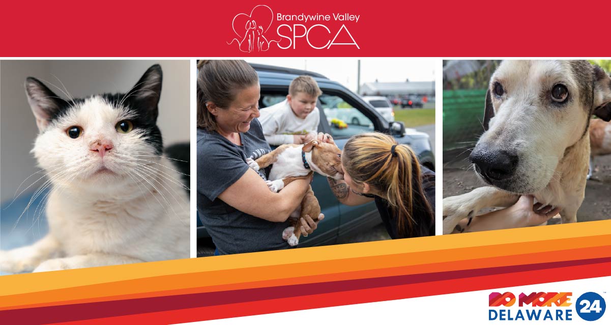 Logo for Brandywine Valley SPCA