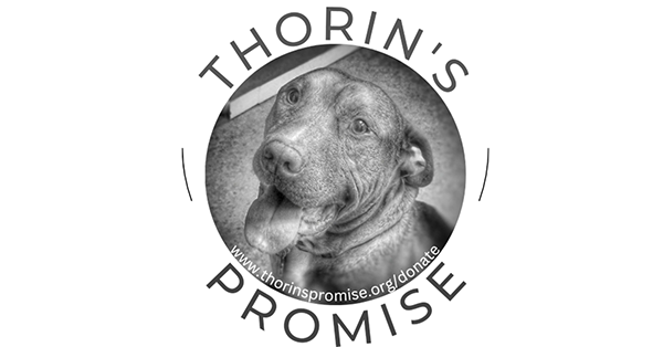 Logo for Thorin's Promise