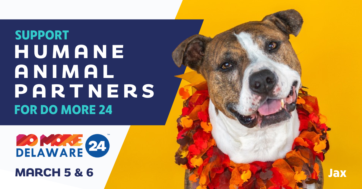 Logo for Humane Animal Partners