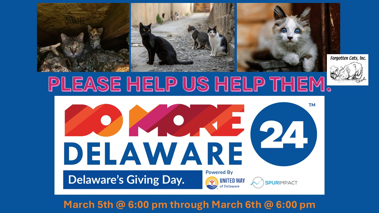 Logo for Forgotten Cats, Inc.