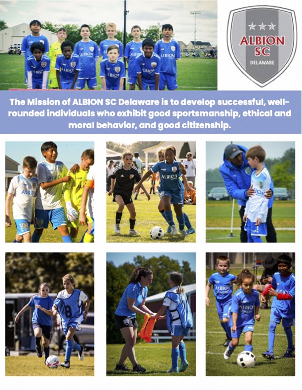 Logo for ALBION SC Delaware
