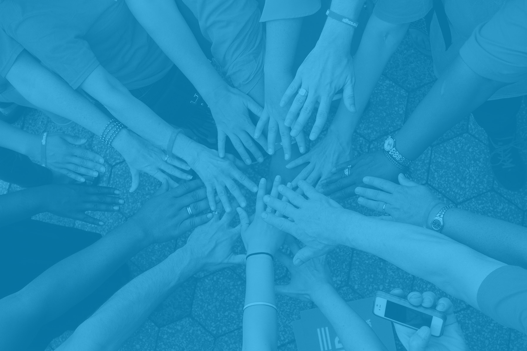 Logo for AltruVision - A Lions Eye Bank